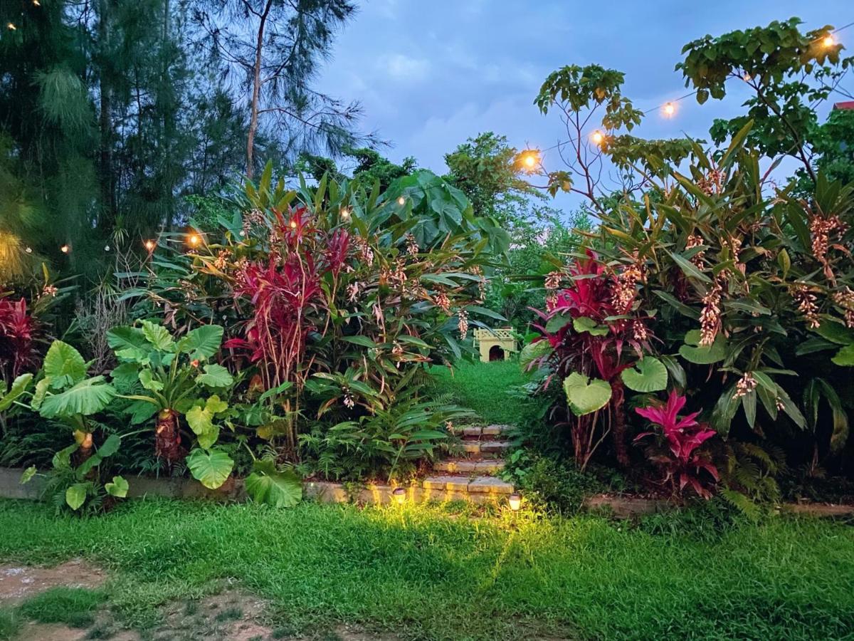 Cats,Piano & Starry Sky Resort Garden -Starry Forest Cottage Okinawa- Onna Exteriör bild