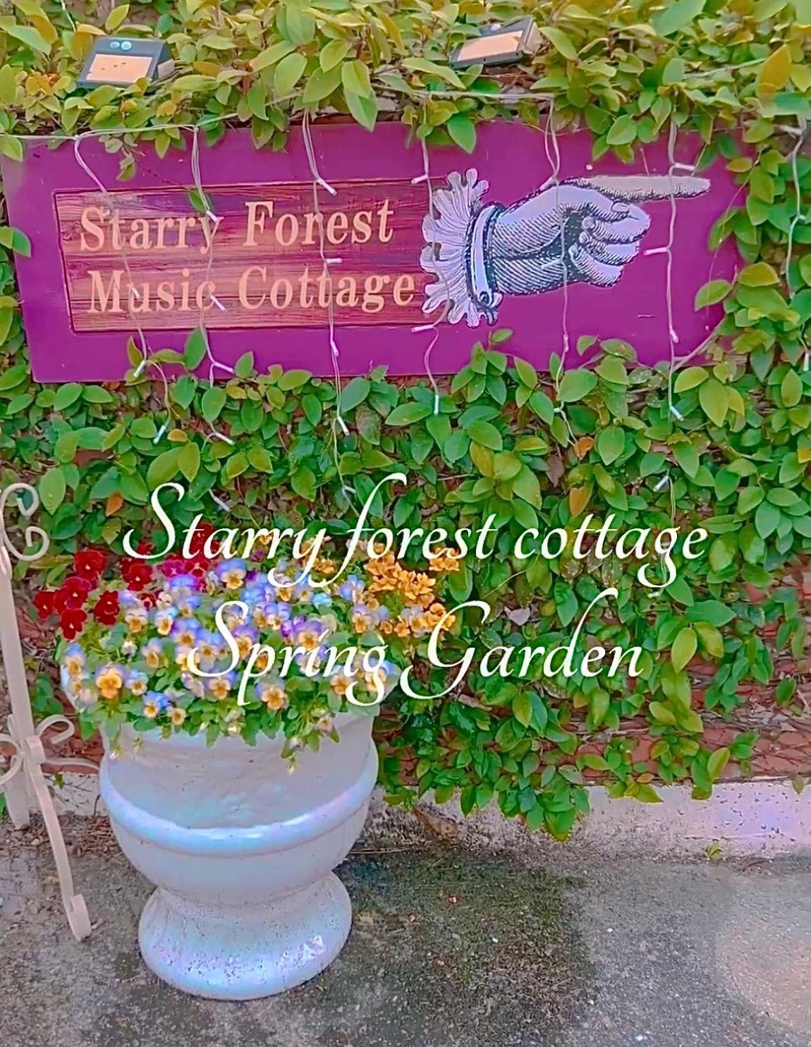 Cats,Piano & Starry Sky Resort Garden -Starry Forest Cottage Okinawa- Onna Exteriör bild