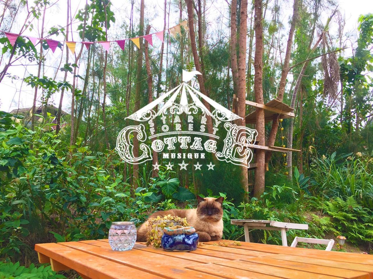 Cats,Piano & Starry Sky Resort Garden -Starry Forest Cottage Okinawa- Onna Exteriör bild